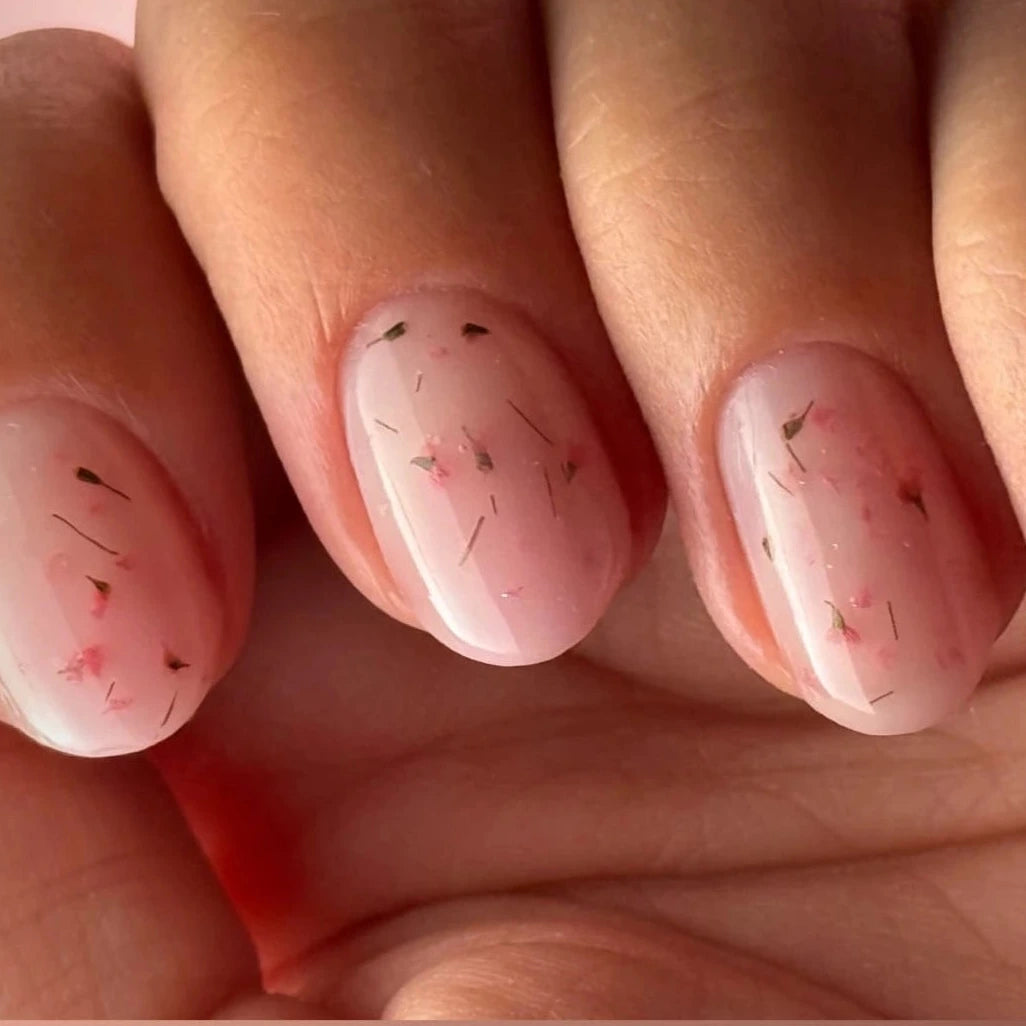 Bloom TOUCH Builder Gel 30g - 03