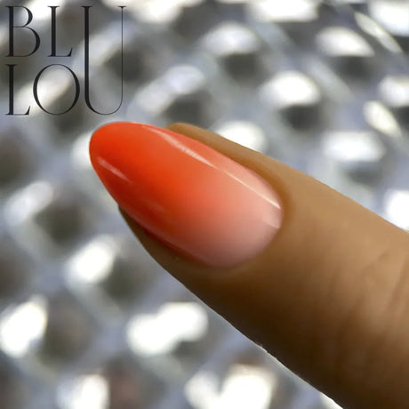 Gel de Couleur Ombre 5ml - 77