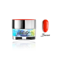 Artistic Pigment Gel 5g - BACAN - Modena Nails Shop 