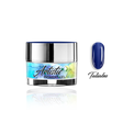 Artistic Pigment Gel 5g - TALIABU - Modena Nails Shop 