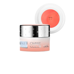 Ombre Color Gel 5ml - 77