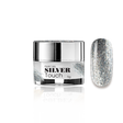 Silver Touch Paint Gel 5g - Modena Nails Shop 