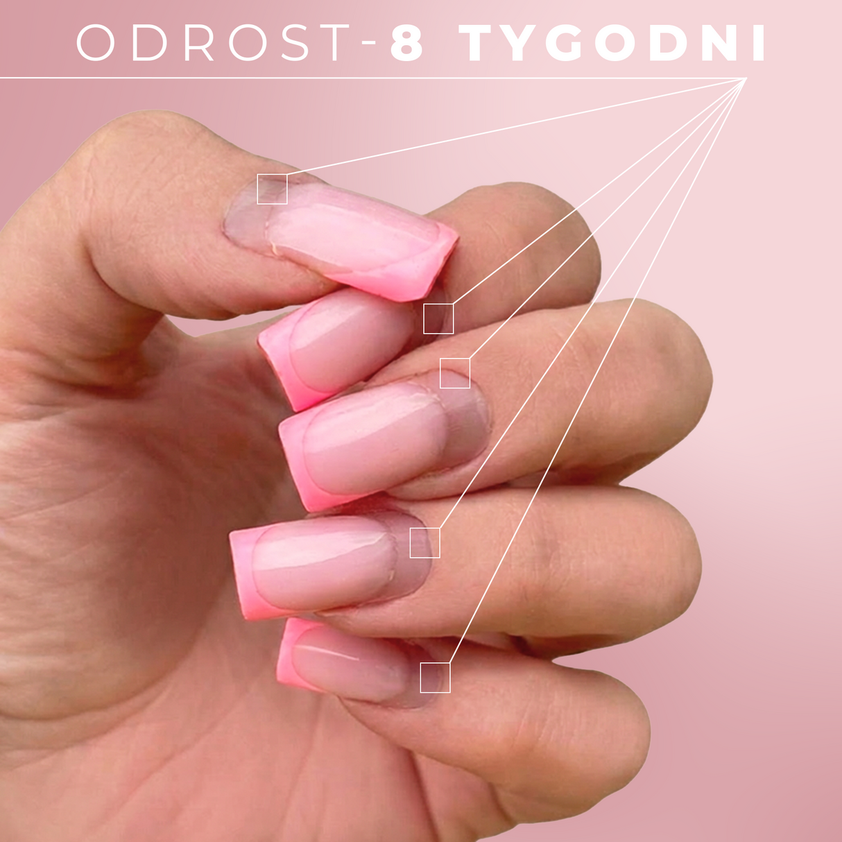 Base Gel - Hybrid Base - renforce l'adhésion des gels, hybrides, gels acryliques, bases de construction