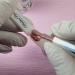 FEVER Kasjmier hybride nagellak 7,3 ml - 106