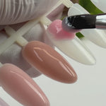 Pro Builder Gel - 06 - gel de construction à thixotropie